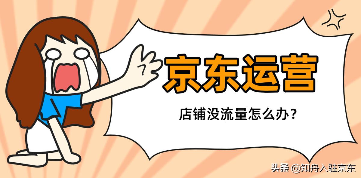 京东店铺流量渠道有哪些怎么提升,京东店铺运营入门基础知识