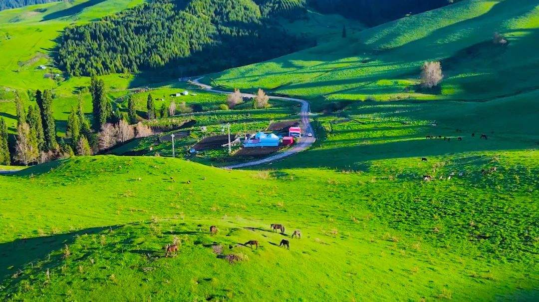 伊犁河谷为什么有沙漠,新疆伊犁沙漠有哪些