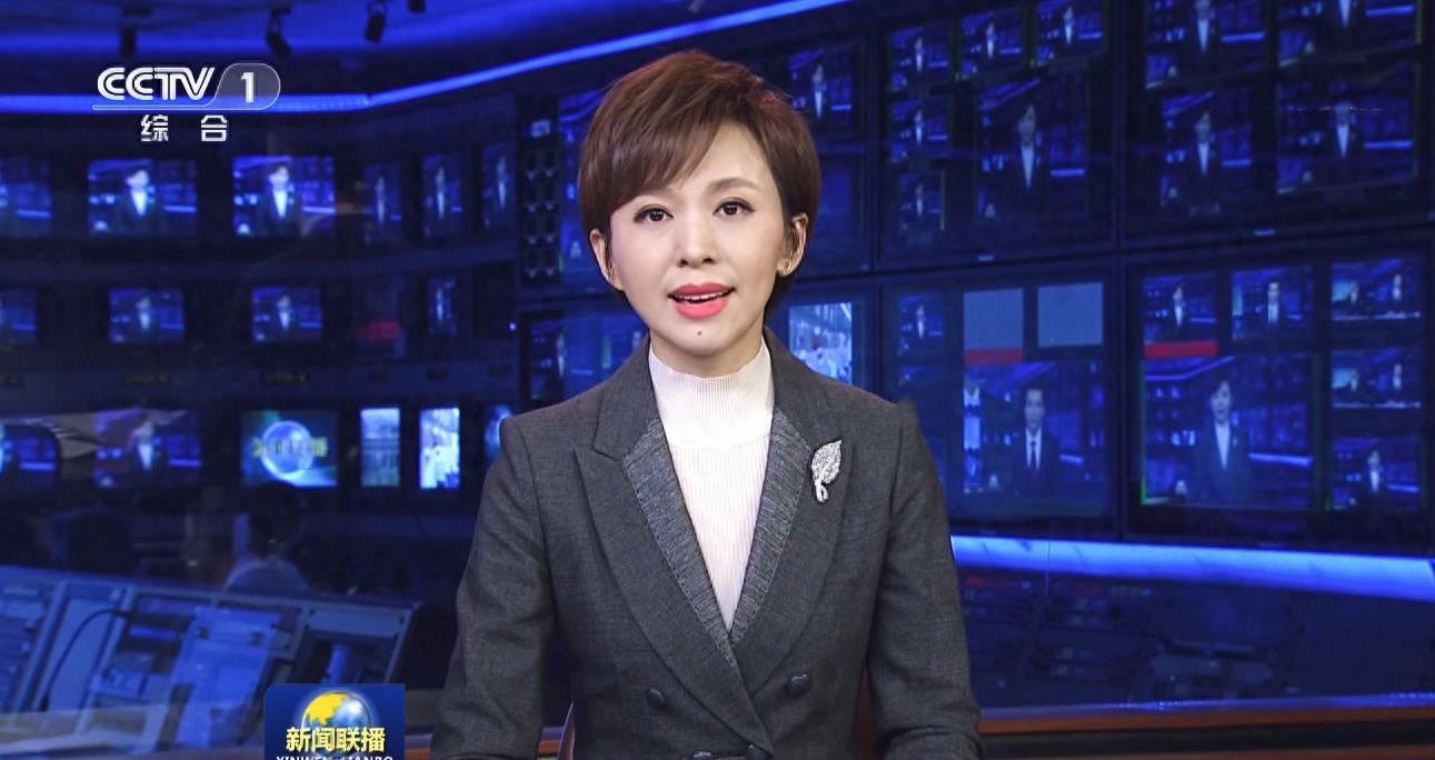 欧阳夏丹为什么从中央电视台辞职,欧阳夏丹离开央视后去了哪里