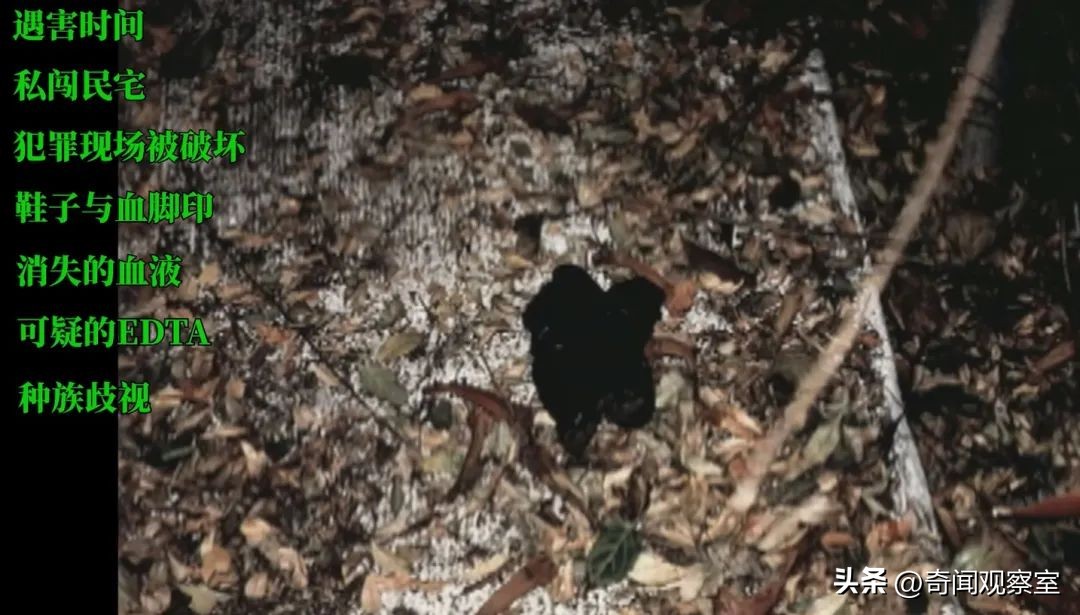 辛普森案真相解析,辛普森案真相解密