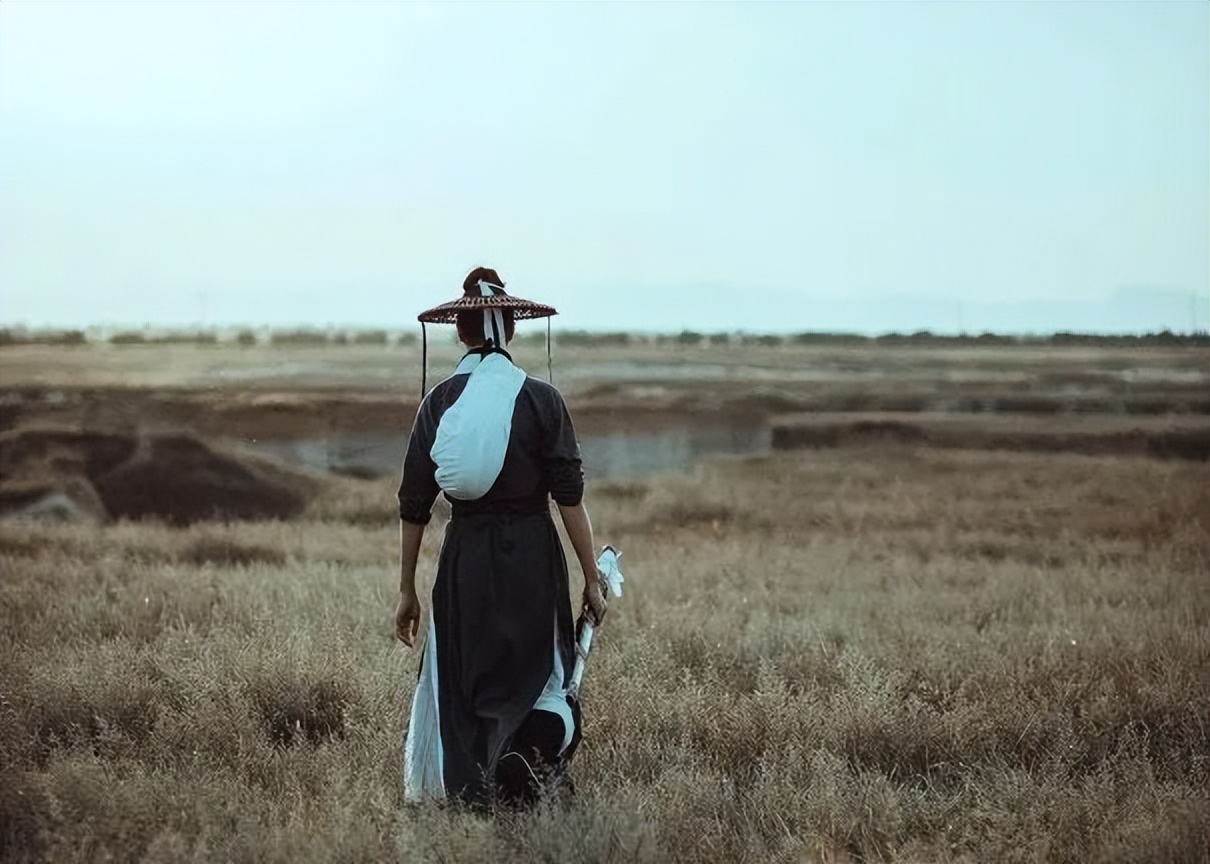 陶渊明最孤高的诗,陶渊明关于人生挫折的诗句