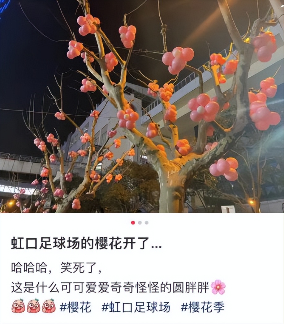 虹口又上热搜啦！这次是因为它→