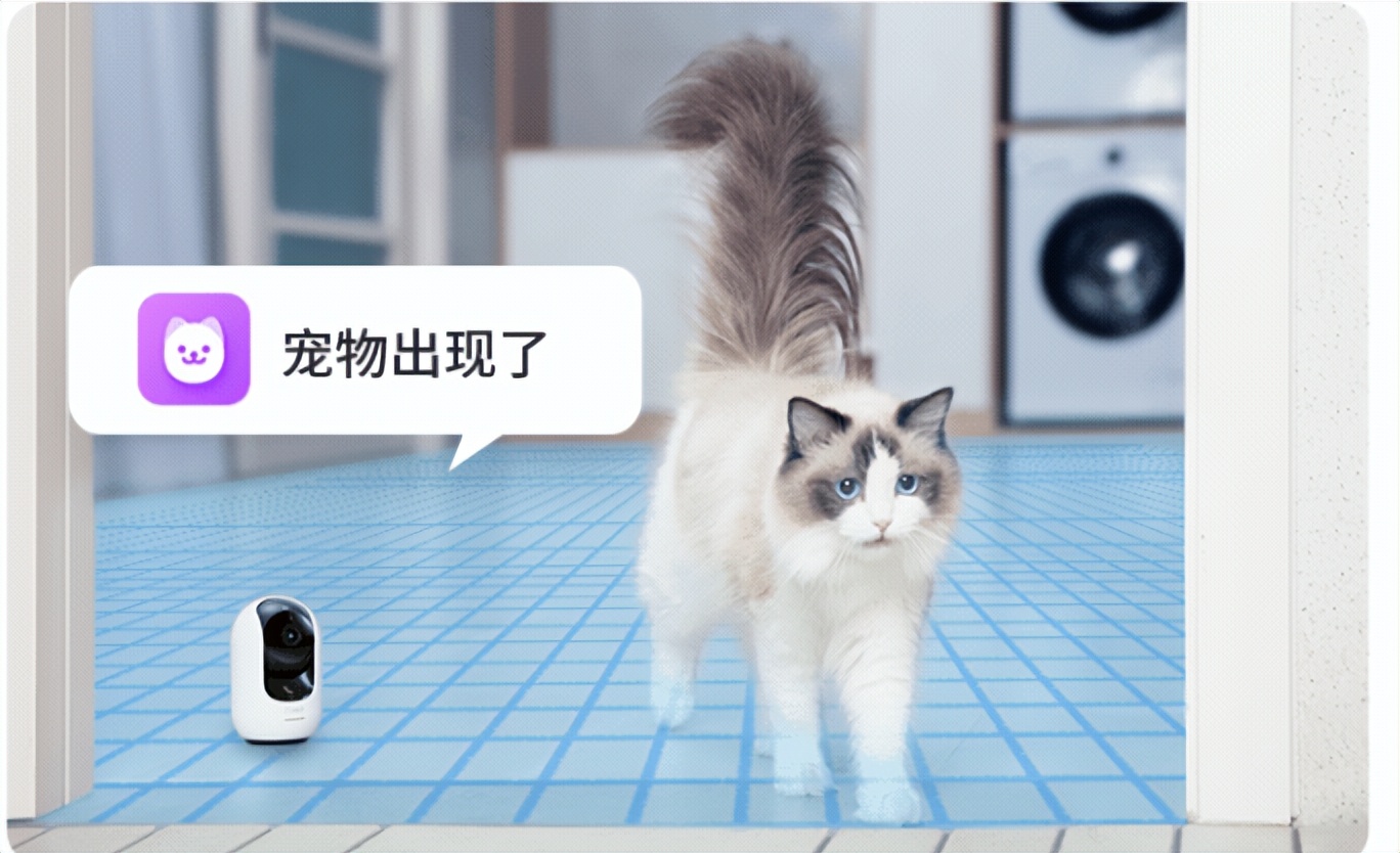 唐艺昕麦迪娜唱歌,麦迪娜唐艺昕唱歌