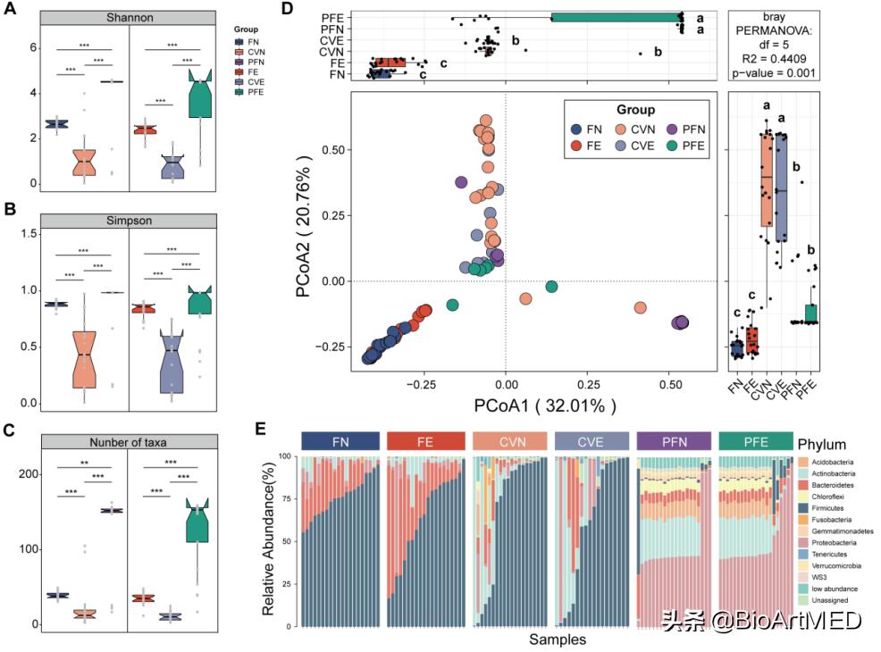 菌群异常会导致子宫内膜异位症吗,肠型子宫内膜异位症