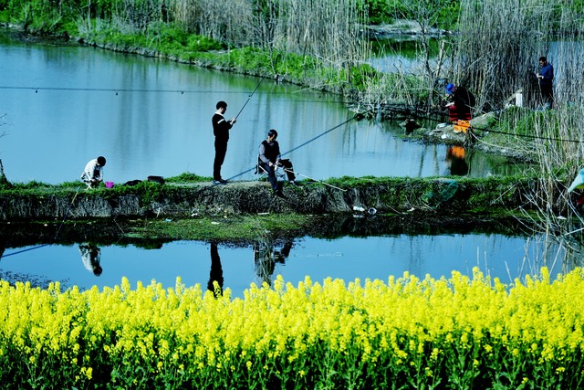 三分钟让你看穿一款饵料霸王枪为大鱼而生的*战野**九一八