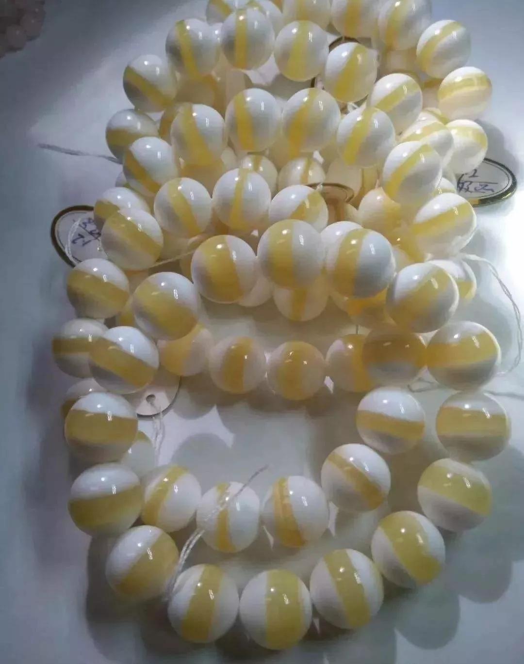 动物千姿百态,动物园的动物千姿百态