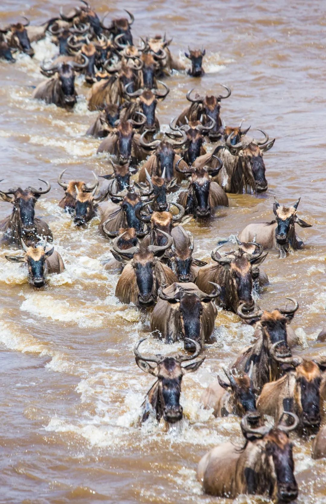 2023年很有意义的旅行,2023年旅行攻略