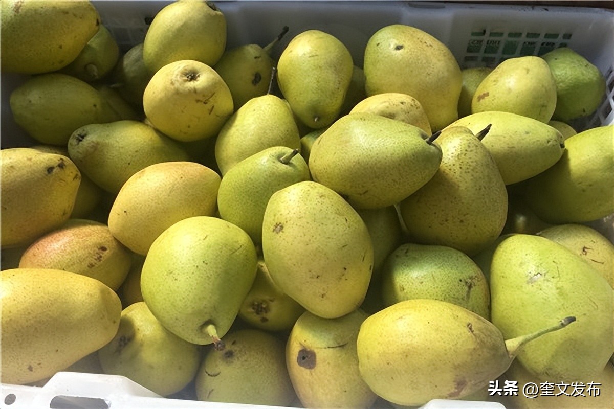 癌症手术后康复期能吃哪些水果,癌症免疫治疗期间不能吃哪些水果