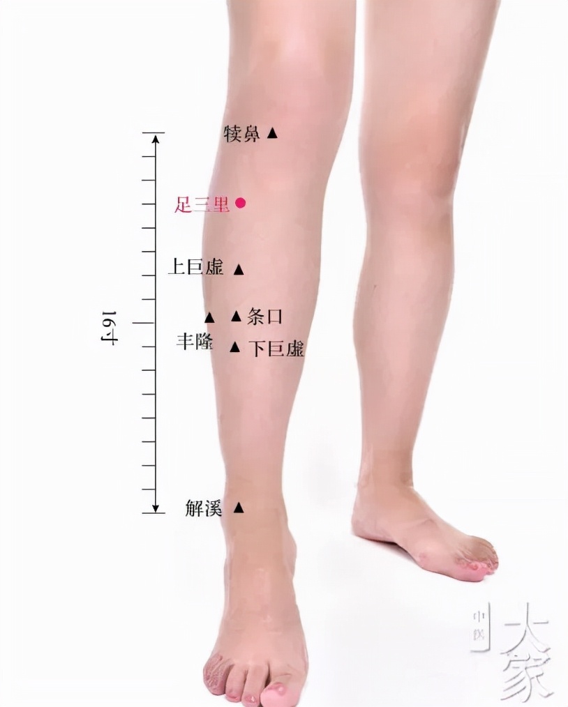 中老年便秘适合吃哪种双歧杆菌,治疗中老年人便秘中药处方及用量