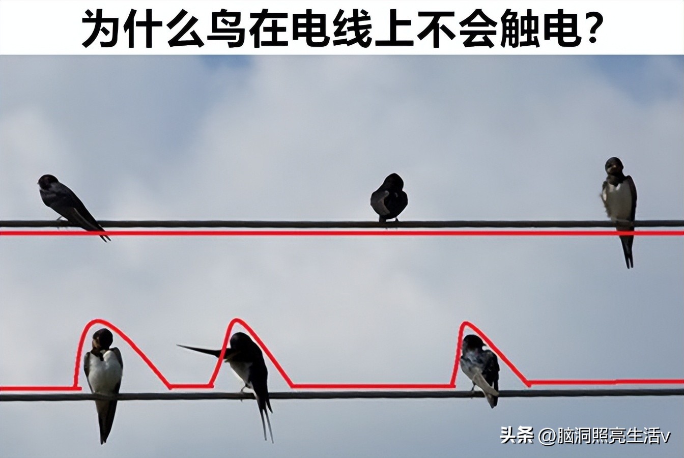 乍看很简单的8个问题，却让博学多才的人也未必能够回答