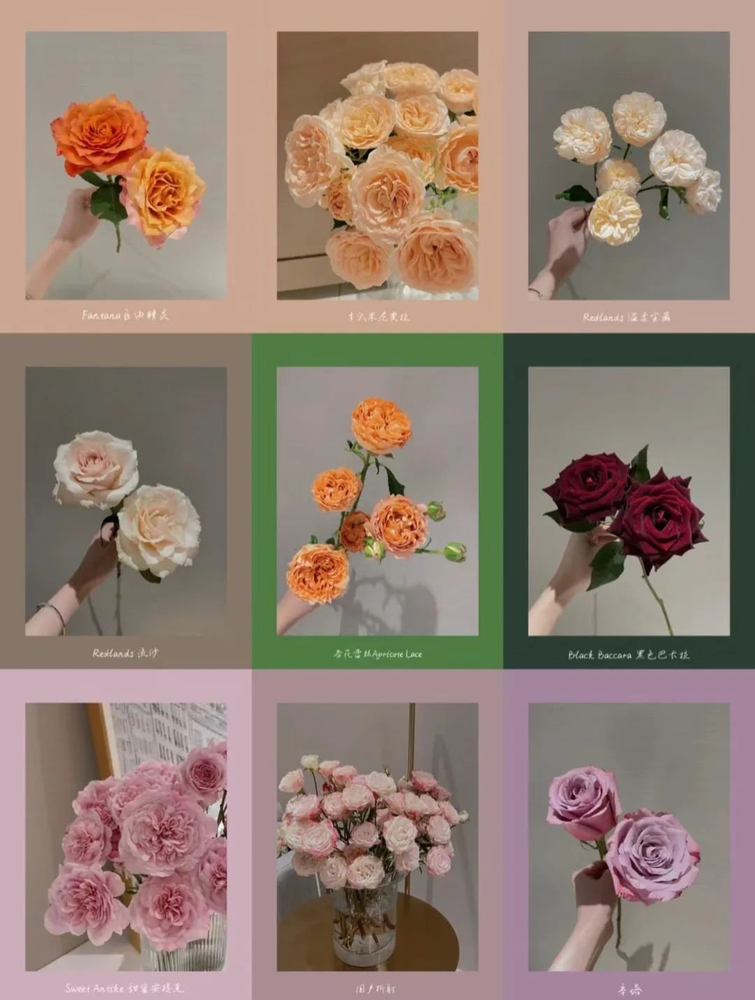 娴鍒瑁呬慨椋庢牸,娴瀹ゅ唴瑁呬慨