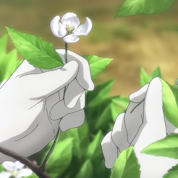 飞翔的魔女樱花,飞翔的魔女樱花片段