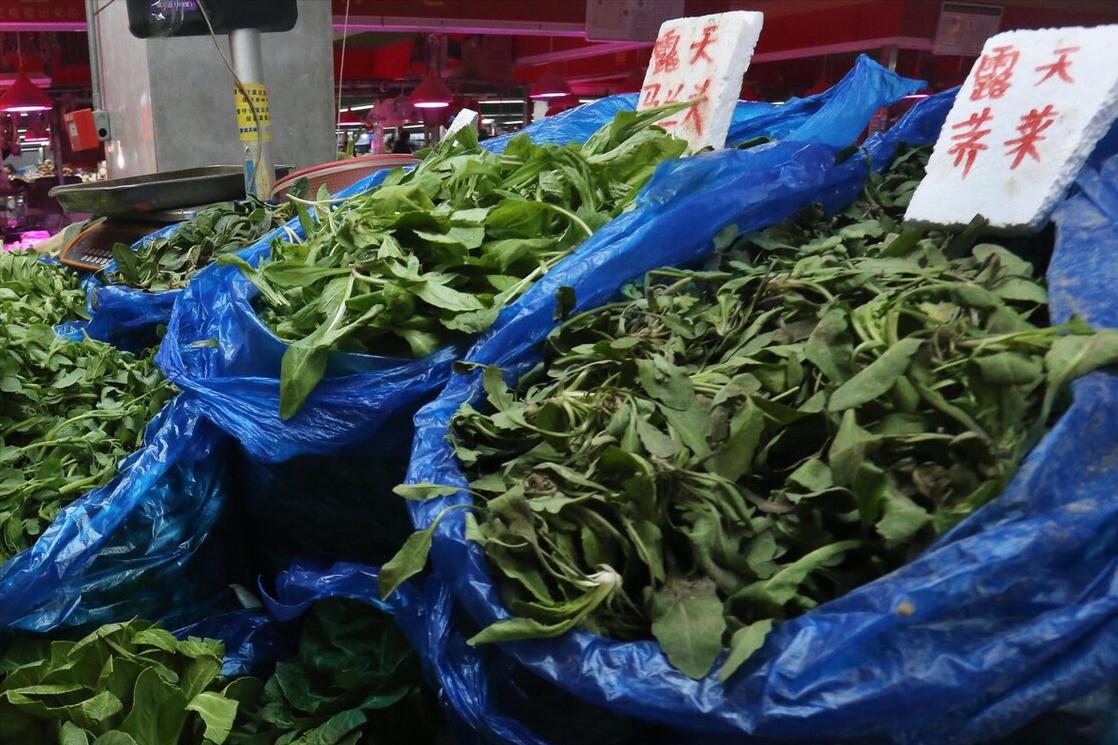 3月吃野菜，不要只知道荠菜，这“南京三宝”，比荠菜味道鲜美