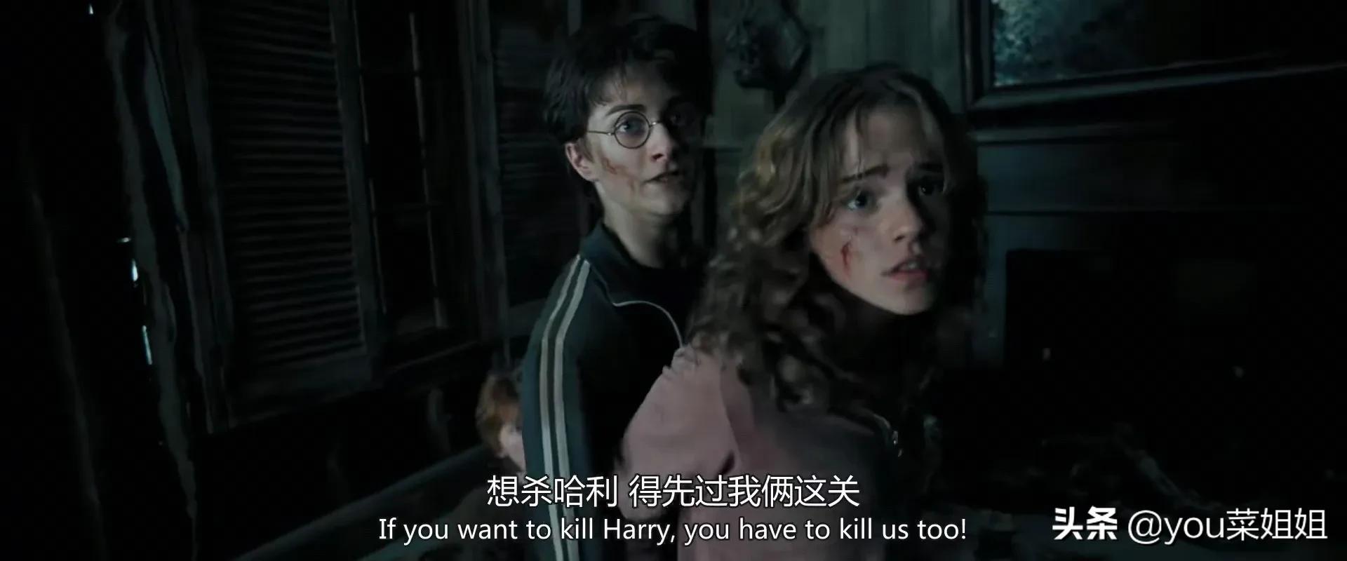 哈利波特为什么不治疗斯内普,哈利波特为什么不救斯内普