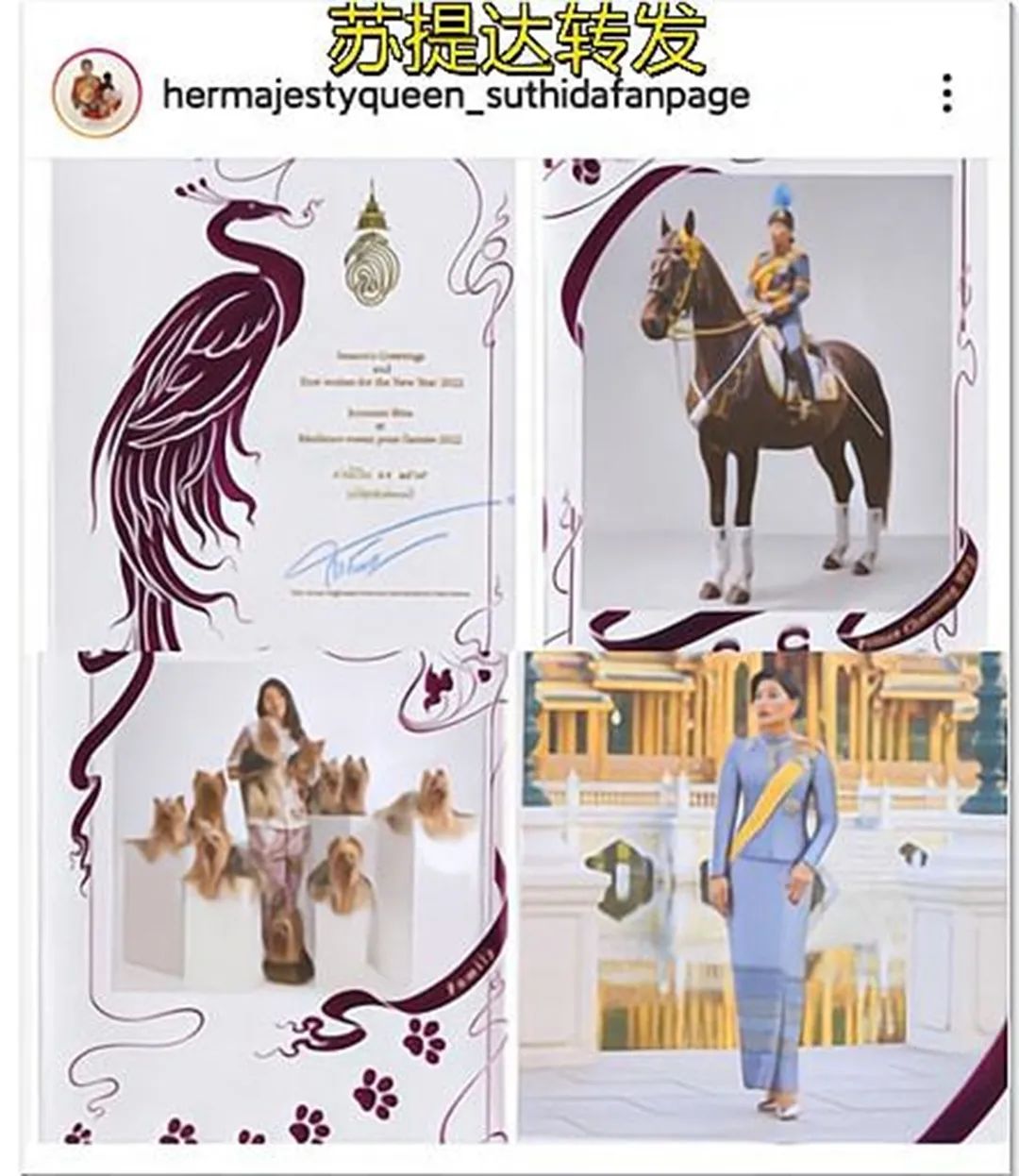 思蕊梵如期发布新年贺卡，一年比一年精致，“神兽公主”名不虚传