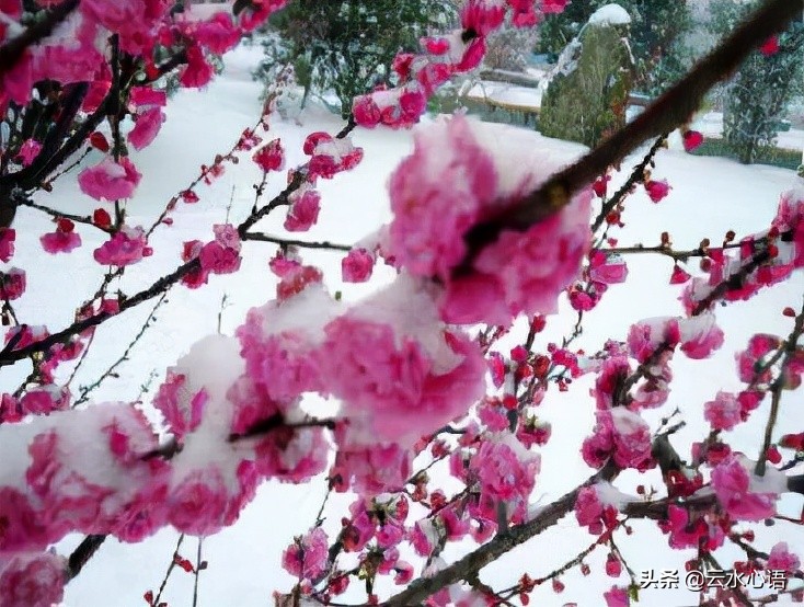 描写风的诗句古诗大全集,盘点写风诗词中的经典诗词