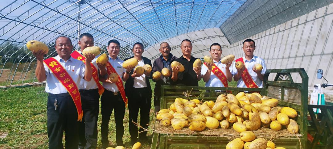 农商行农村金融创新,金谷农村商业银行