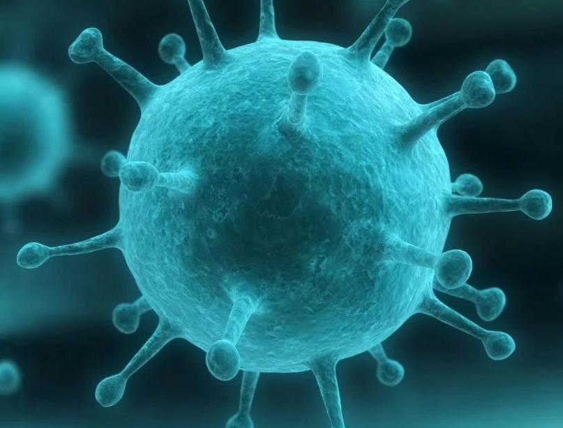 乙肝应该看中医还是西医,乙肝小三阳看中医好还是西医好