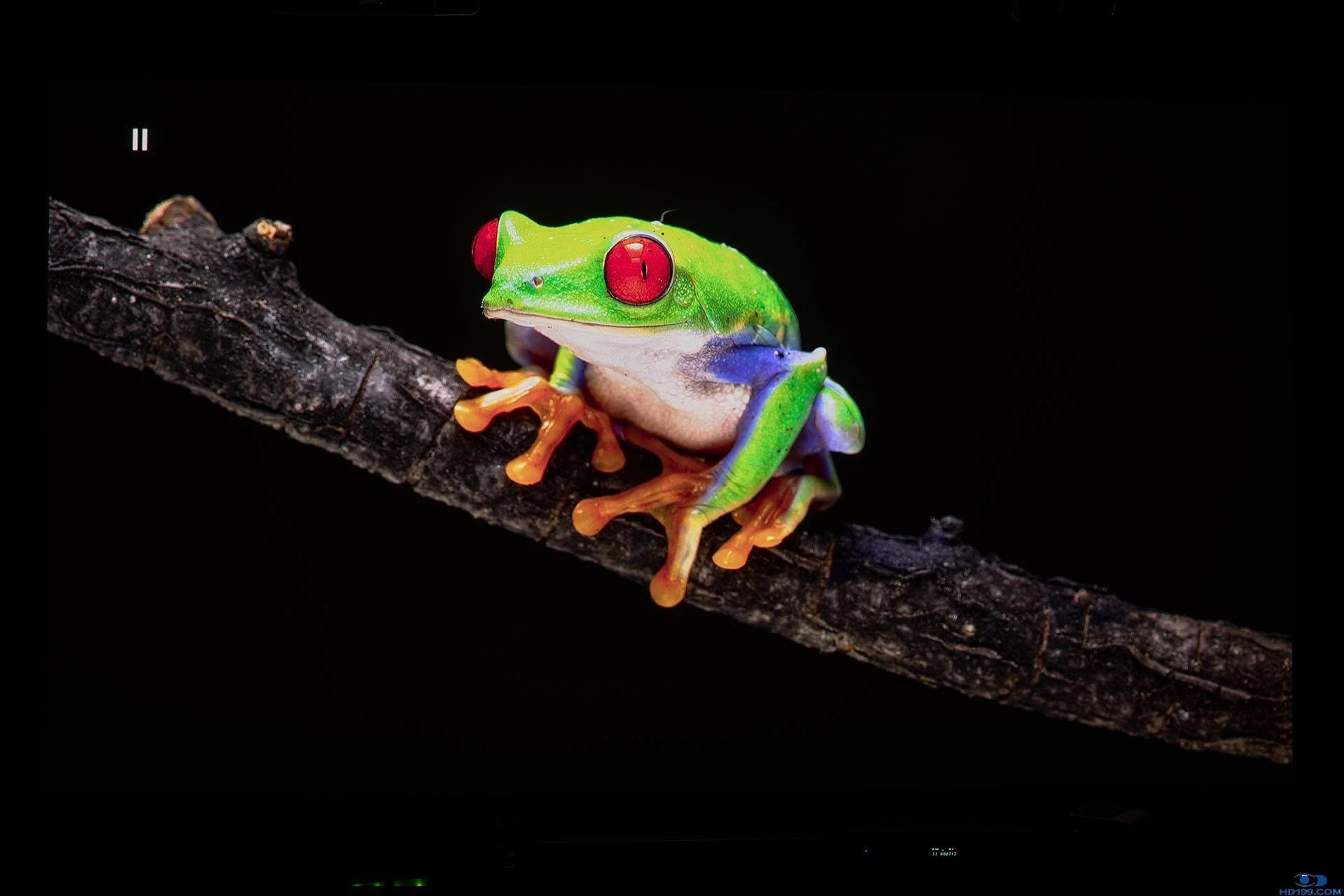 坚果n1ultra4k激光投影,坚果N1Ultra三色激光投影仪