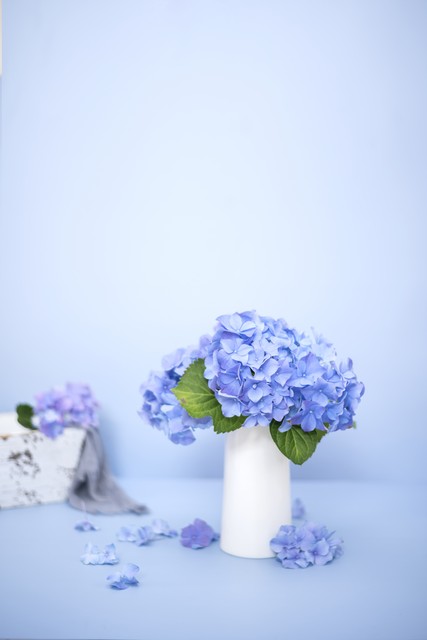 爱是一种相知相守的陪伴,爱是懂得和偶尔陪伴就足够