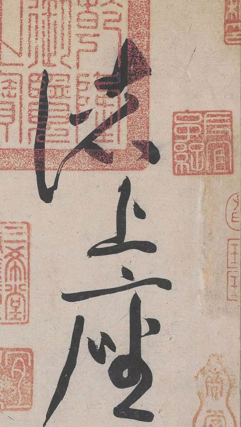 宸ョ瑪鐢绘潹鏅箟鐢诲唽,鏉滈箖鏉ㄦ櫘涔夊畬鏁寸増