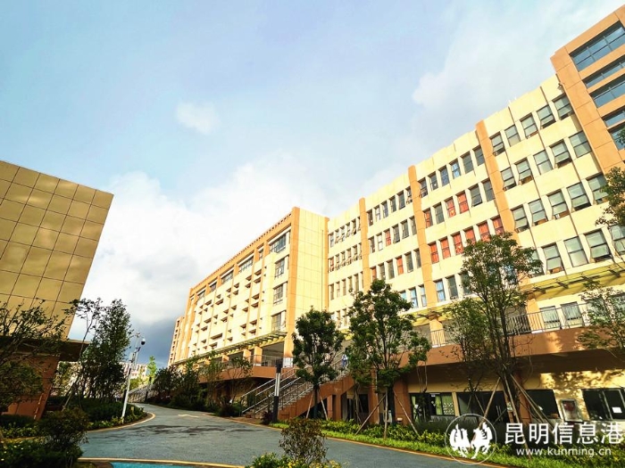 昆明市第17中学官网,昆明第十七中学升学率