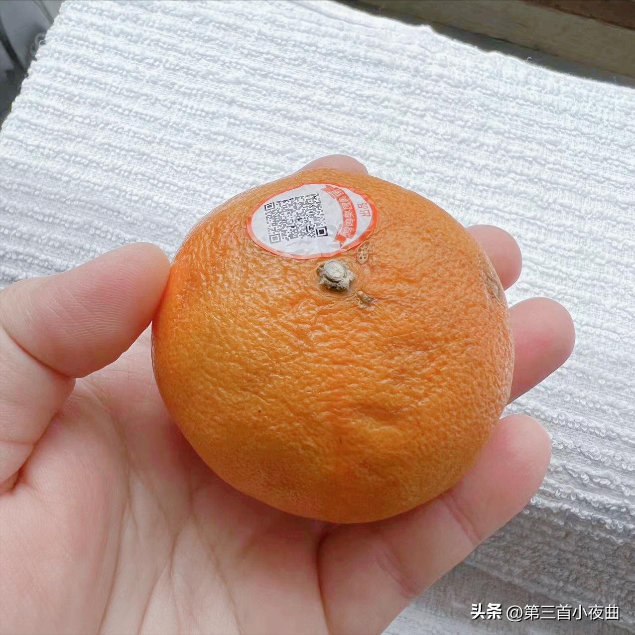 儿子送了我一朵花,儿子送我一捧鲜花