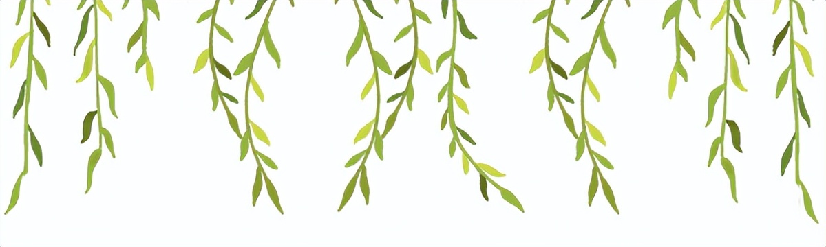 2023年草履蚧虫防治技术要点