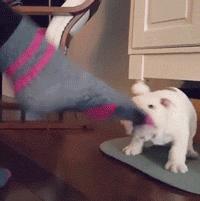 “脚好臭，我喜欢！”为啥有人会对脚臭迷恋至极？