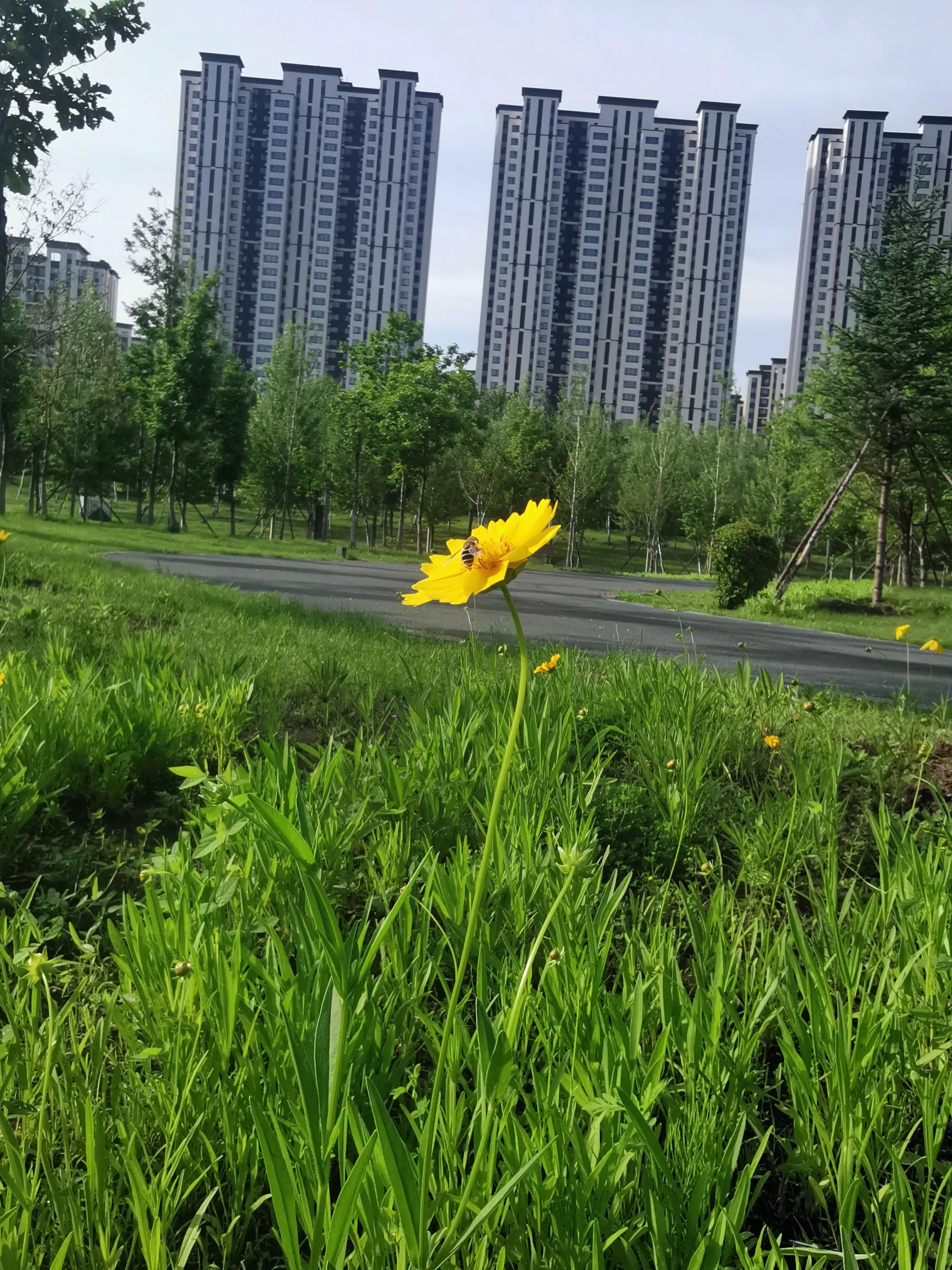 长春市南湖公园和南溪小镇,长春北湖湿地和南溪谁大