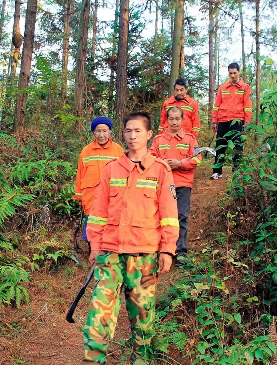 中国最厉害民间组织,中国五大民间组织