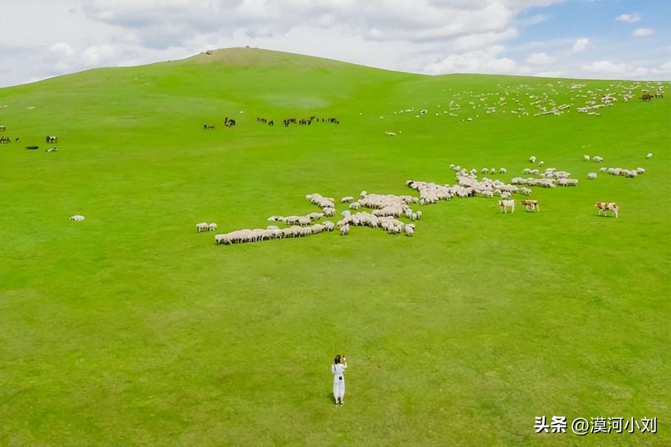 内蒙古呼伦贝尔漠河地图,呼伦贝尔大草原北线5日游攻略