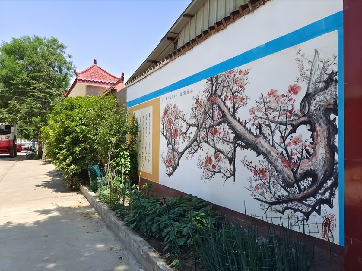 持续改善人居环境南阳市社旗县桥头镇这样做