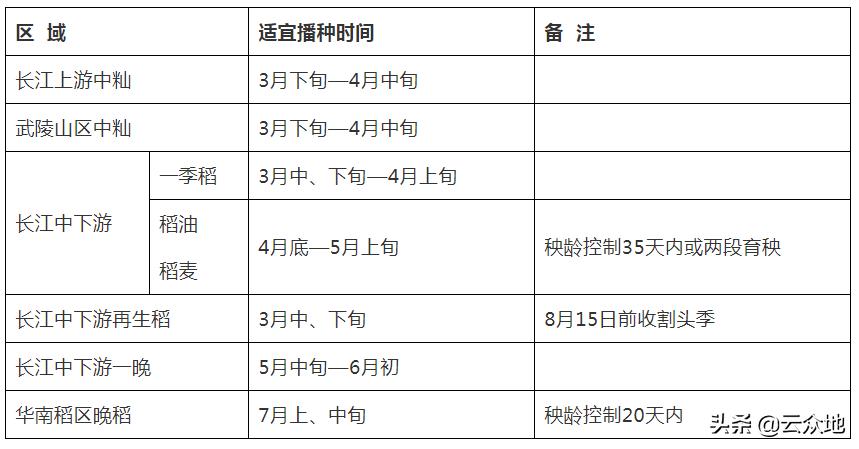荃两优华占稻种简介,丰两优华占稻种多少钱