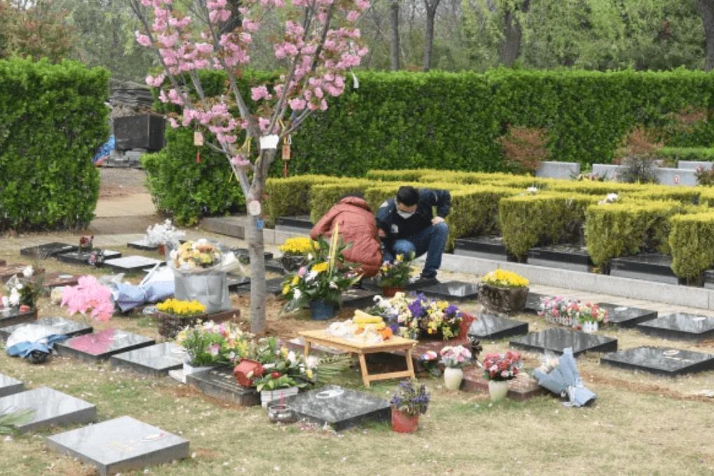 火葬被取代吗,火葬为何取代传承千年的土葬