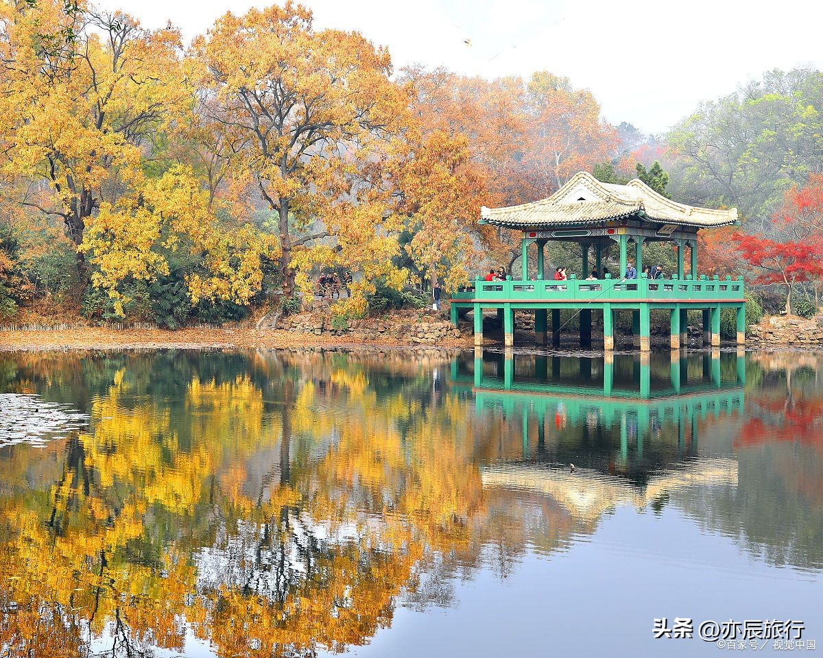 南京秋季最美景点推荐,南京秋季旅游攻略最新