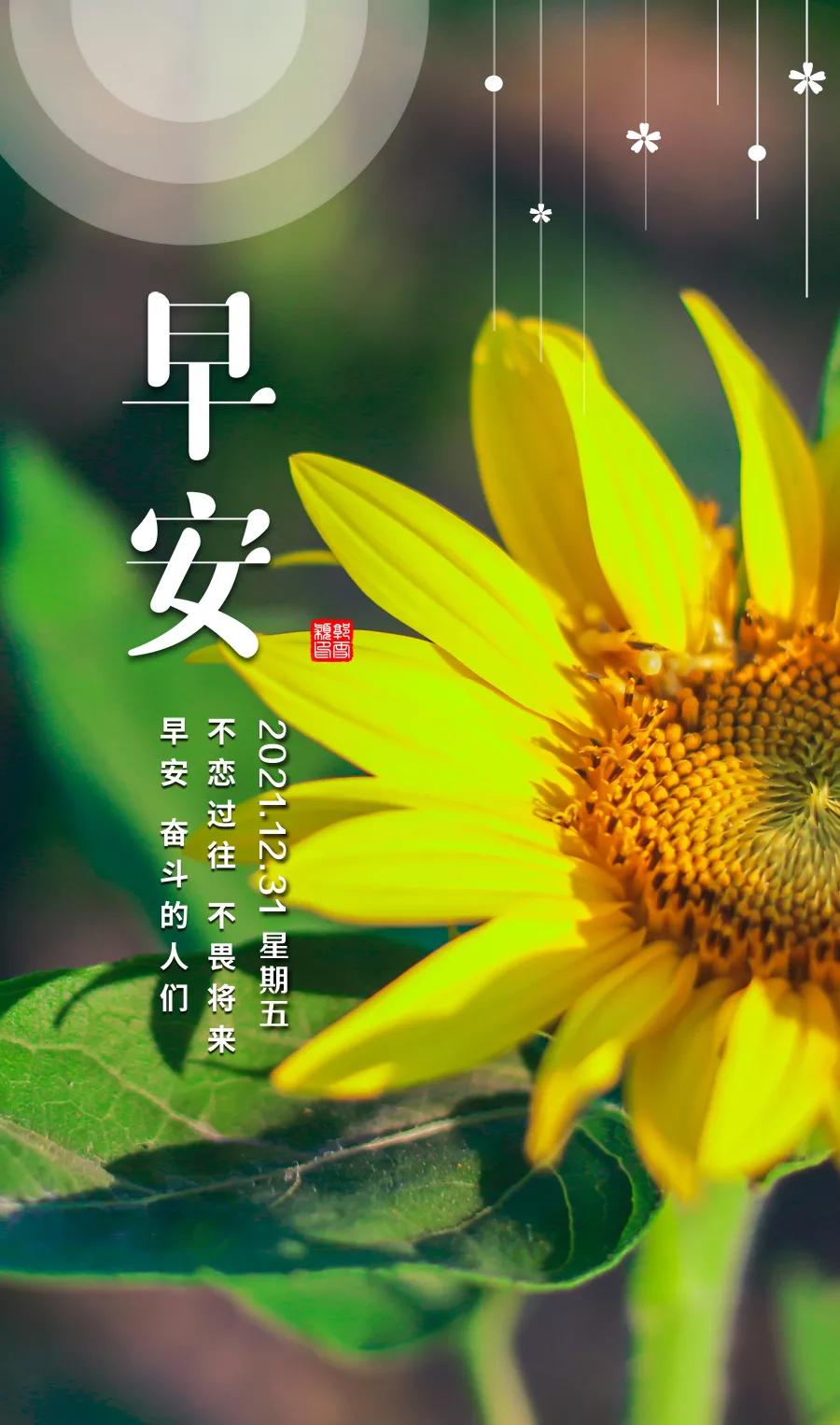 2022年最火的早安语录,早安心语最新正能量经典文案