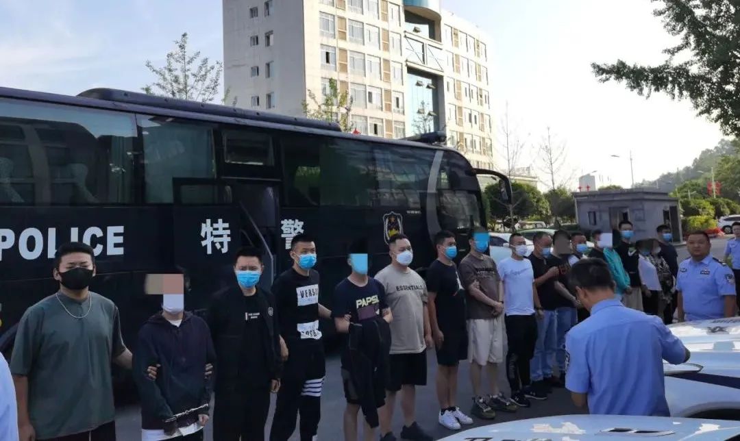 百日行动破获网络赌博案件,百日行动破获多起涉诈案件