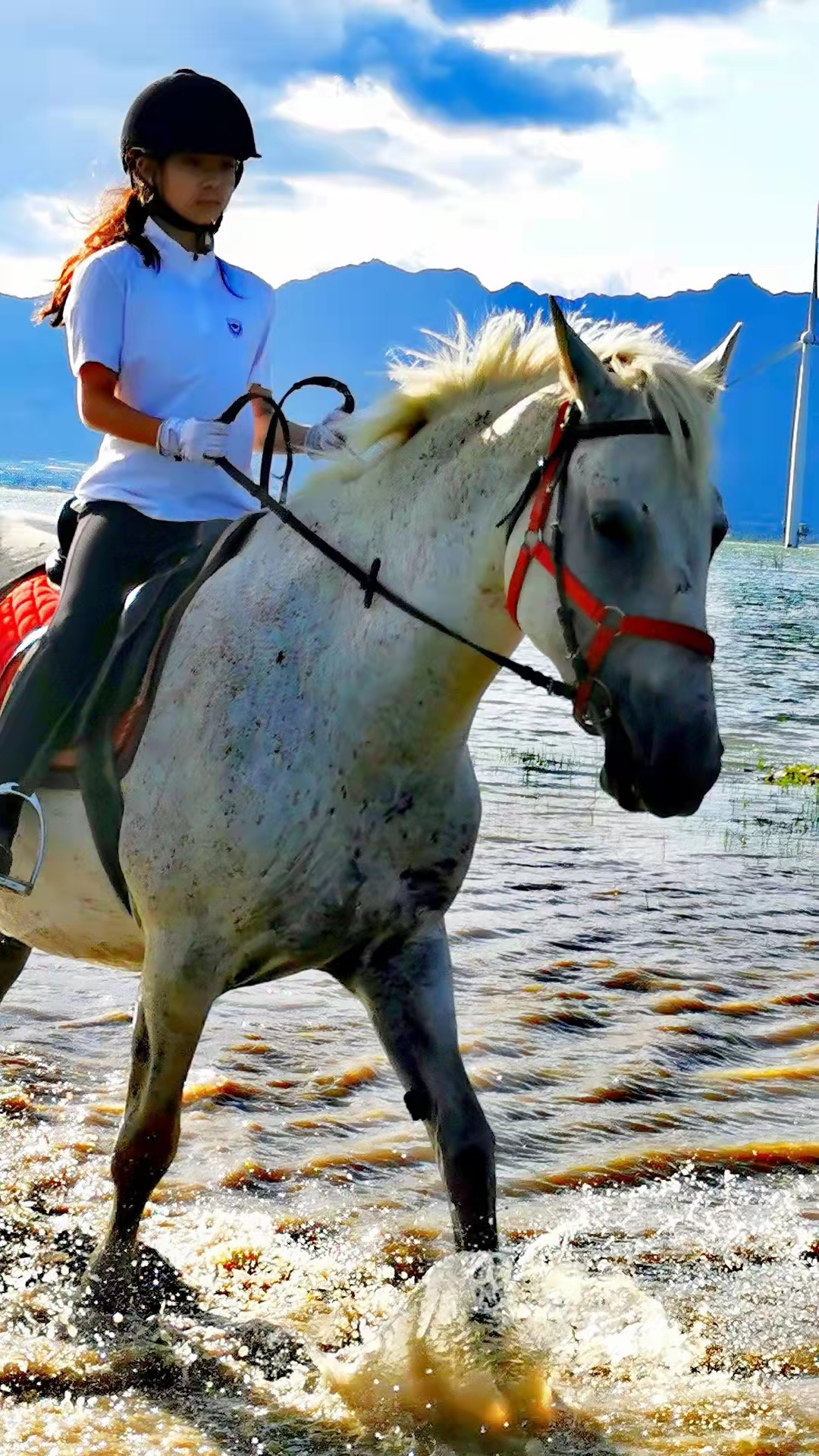 2023华杯赛夏令营,华誉外交官