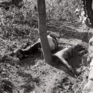 日军的残忍暴行,日军的残忍暴行盘点