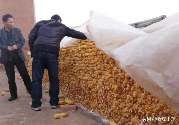 河北农民最新消息,了解河北农村发展