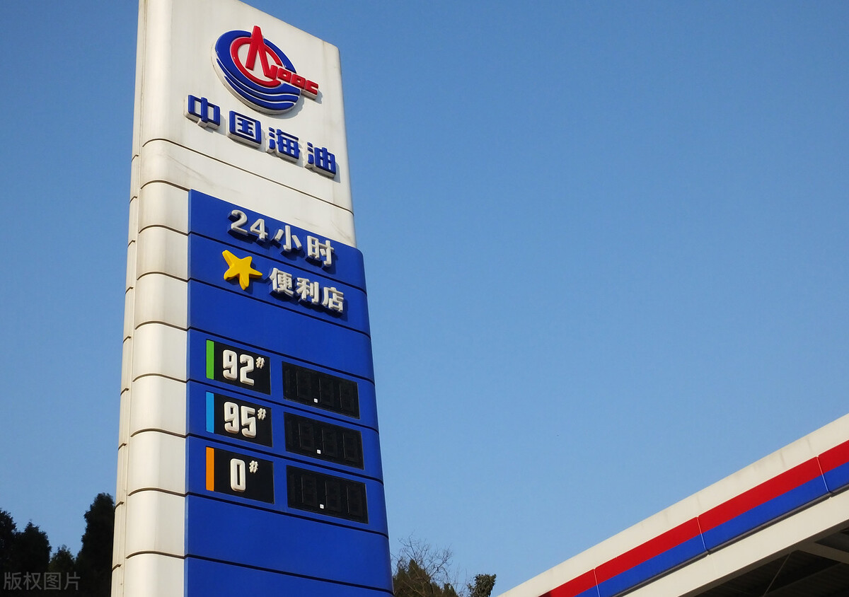 中国海油新股中1000股收益,阳光股份股票