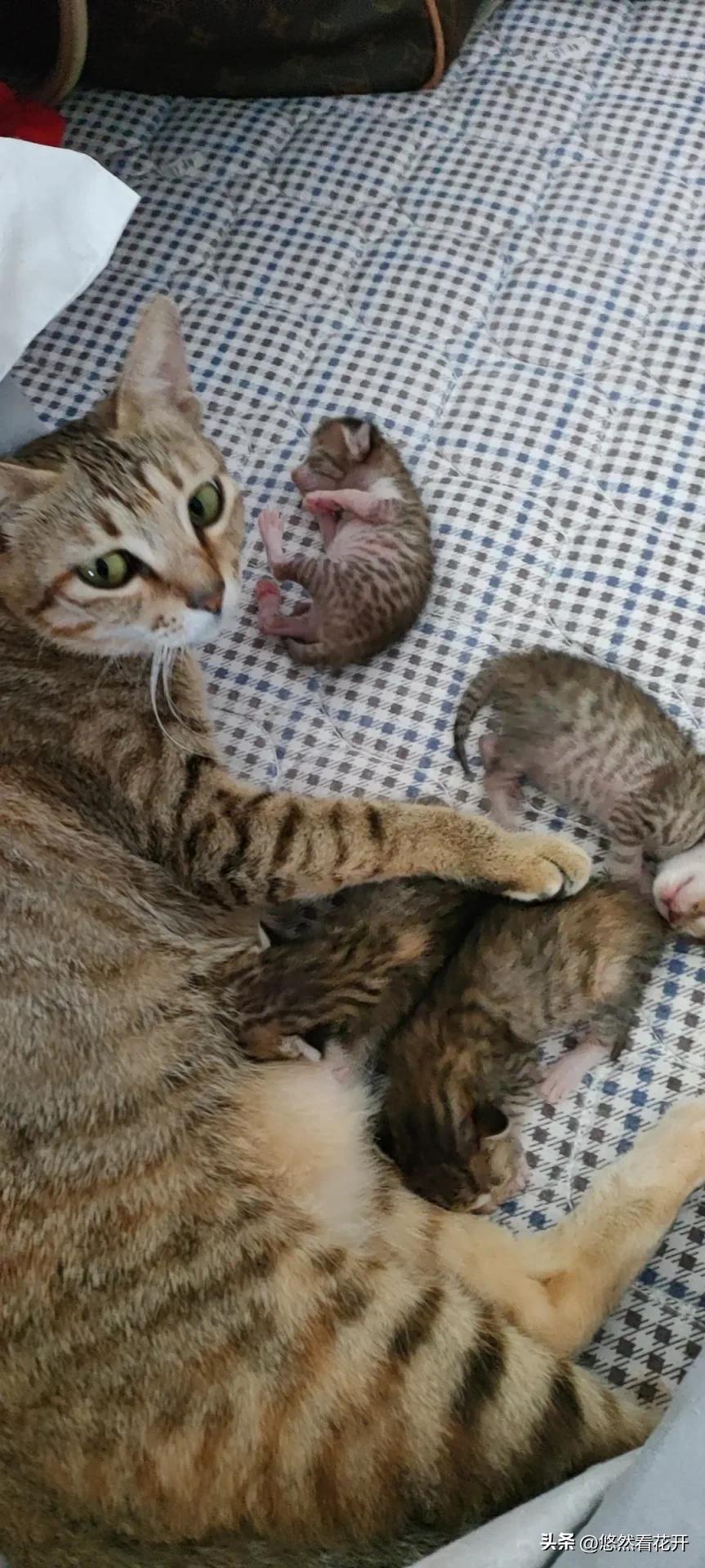 揪心的感觉是什么歌,揪心的感觉需要做什么检查