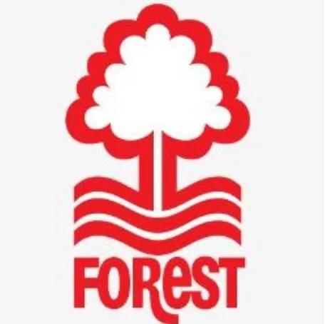 英超十大豪门名单,英超6大豪门介绍