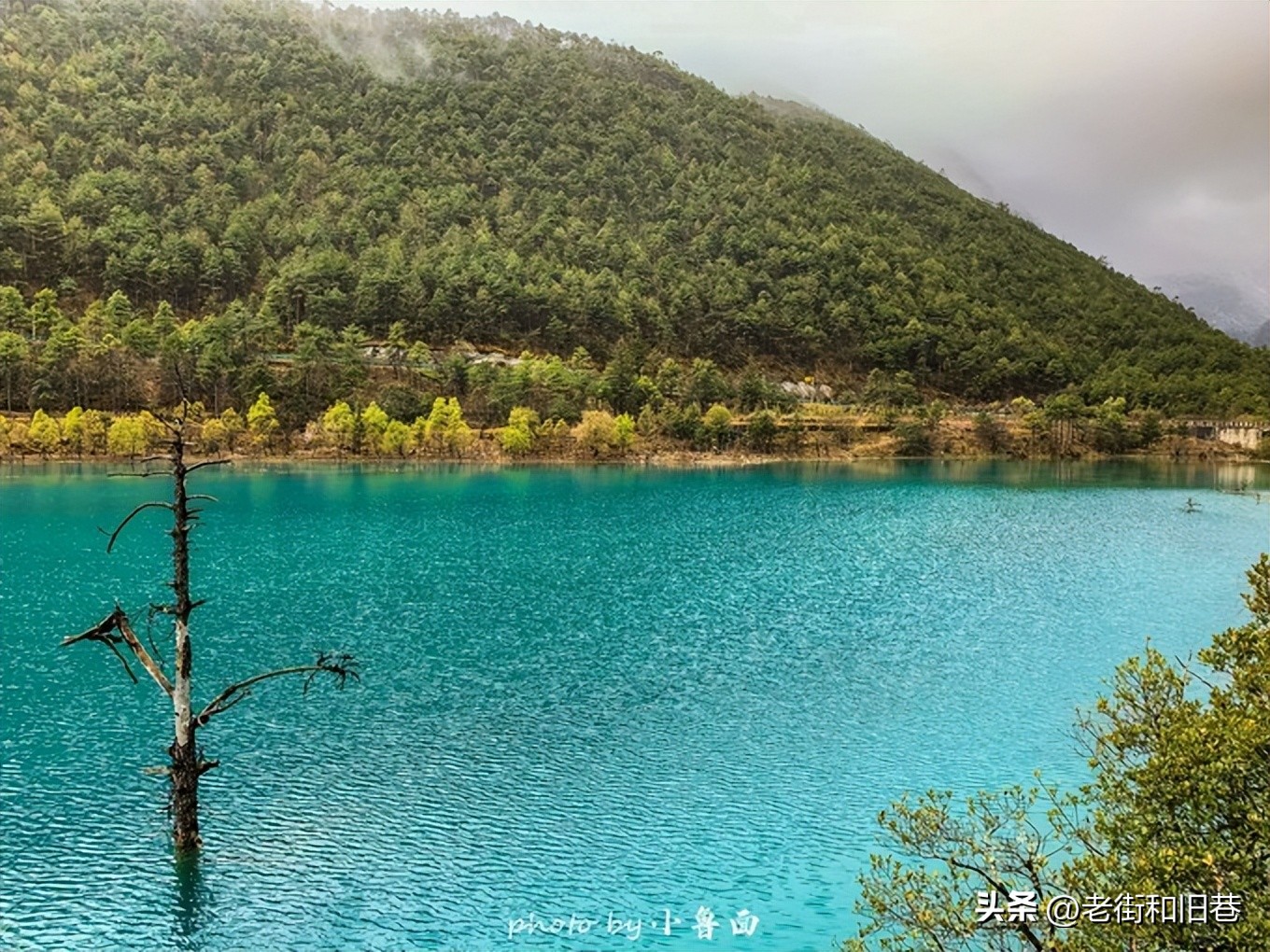 玩转云南自由行,昆明大理丽江6天5晚游多少钱
