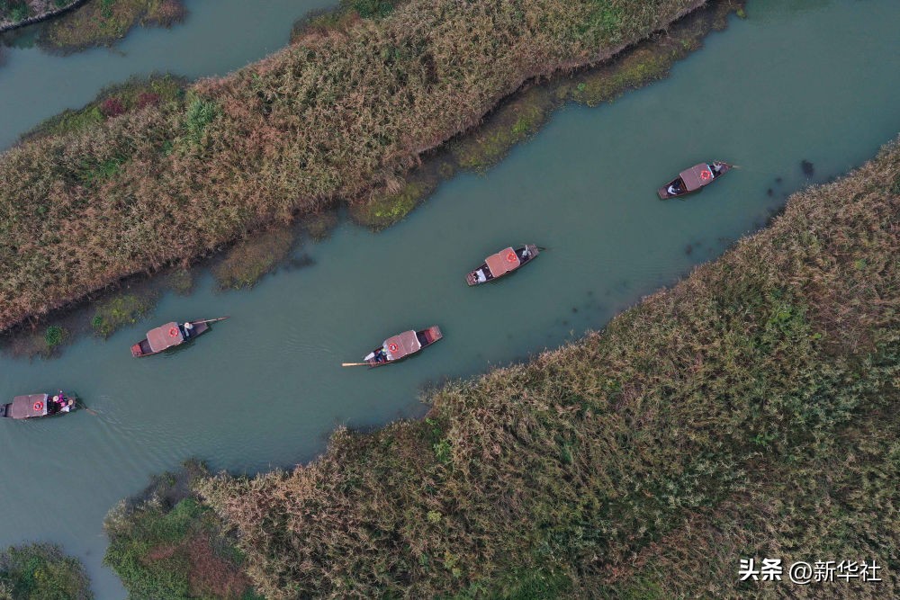 湿地之美惊艳了世界,湿地之美在什么地方