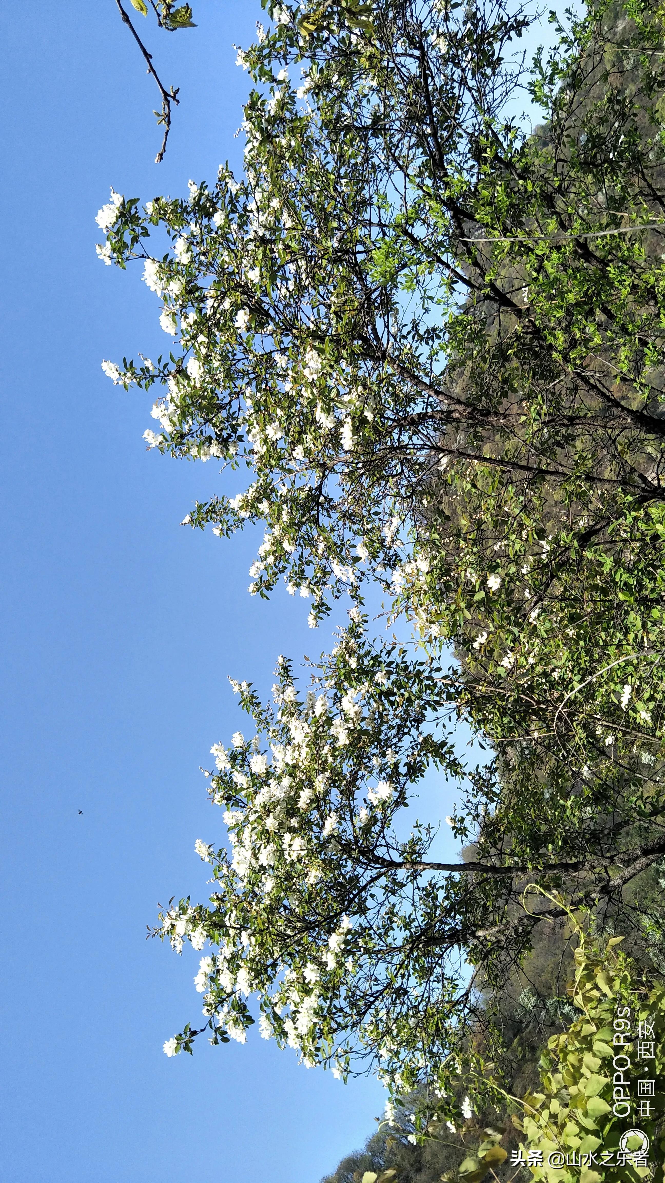 大峪穿越嘉午台,大峪穿越终南山