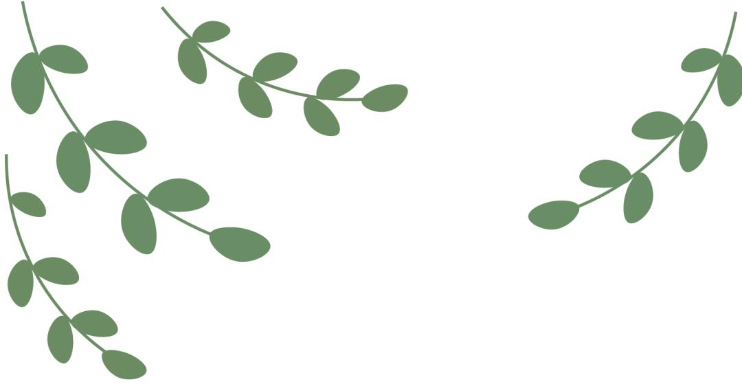 电脑端有哪些好用的视频*放播**器软件？