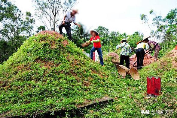 清明扫墓讲究颇多，“3做5禁忌”一个都不能错，今天你做对了吗