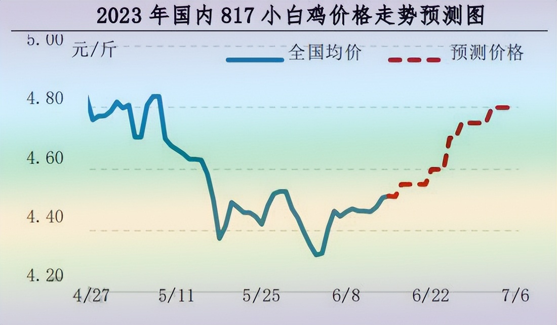 10月肉鸡价格走势,11月28号肉鸡价格最新行情分析
